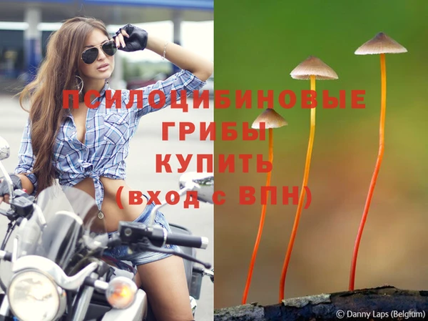 бутират Липки