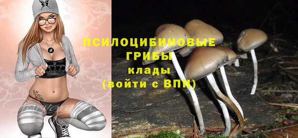 крисы Лихославль