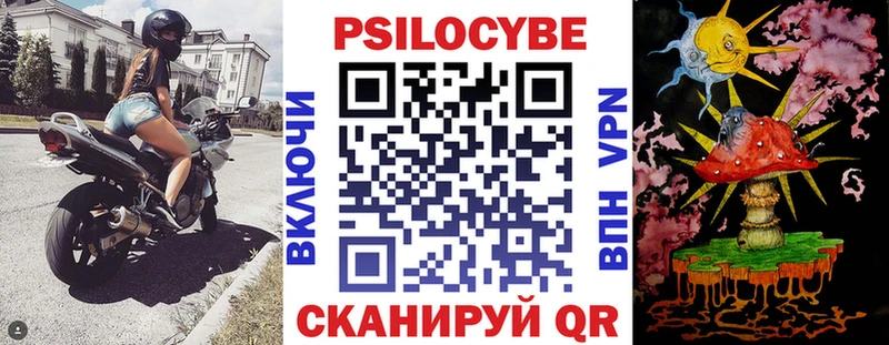 Галлюциногенные грибы Cubensis купить наркотик Чита